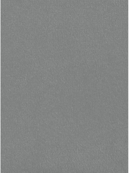 Baarijakkara Divo samettia, harmaa