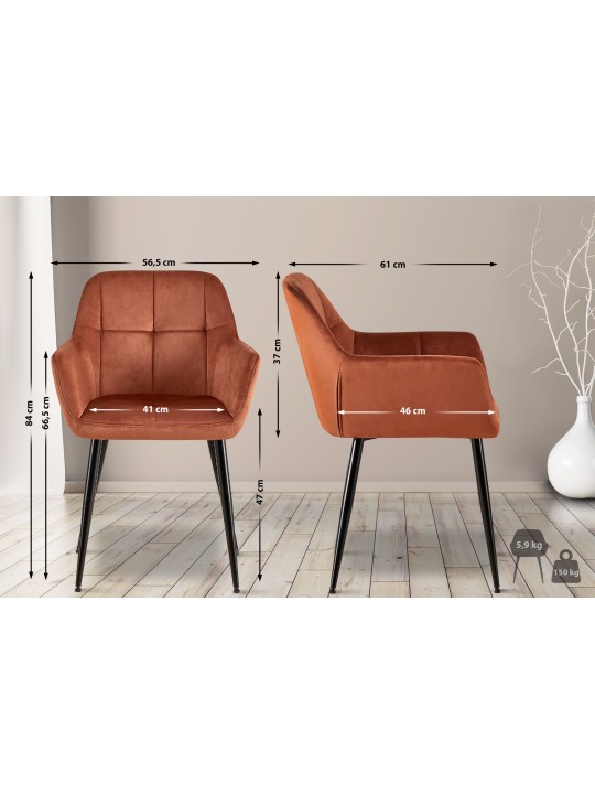 Sarja 2 ruokasalin tuolia Emia velvet, ruskea