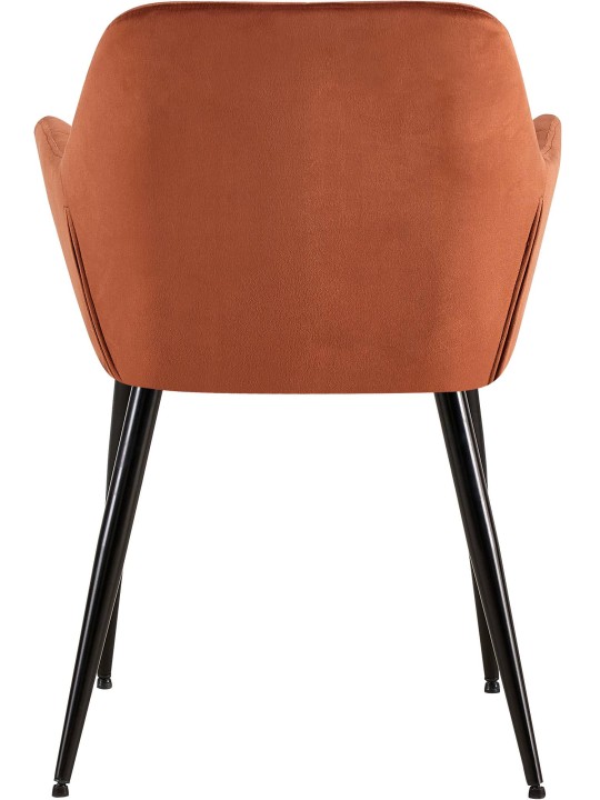 Sarja 2 ruokasalin tuolia Emia velvet, ruskea