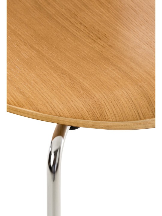 Vierailijatuoli Diego, tammi