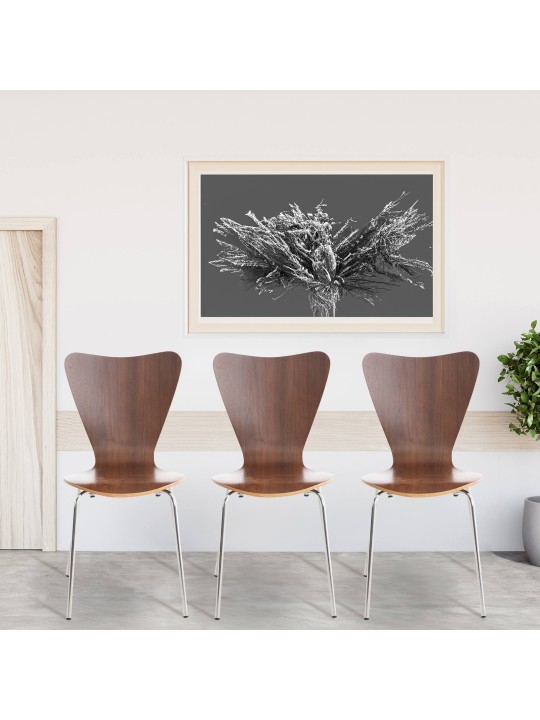 Calisto vierailijatuoli, pähkinä