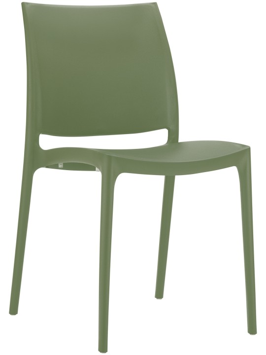 Puheenjohtaja Maya, oliivi