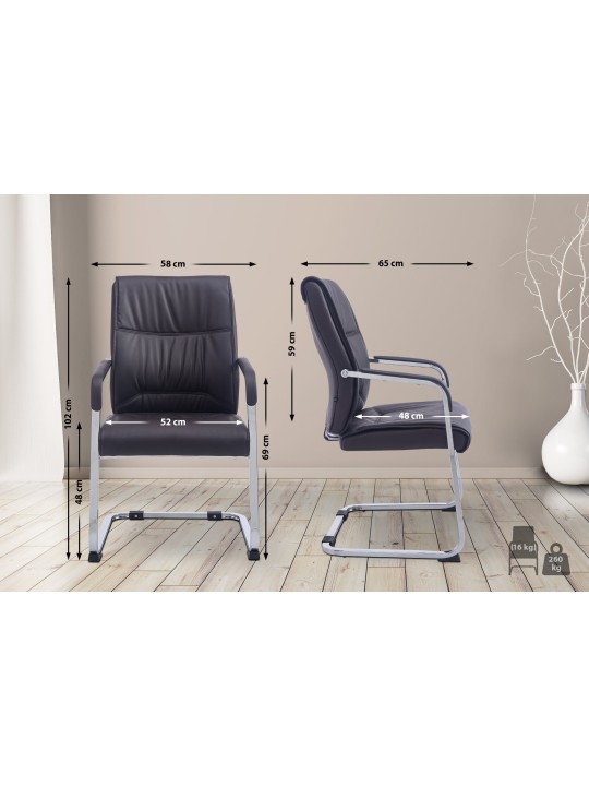 XL vierailijatuoli Anubis, ruskea