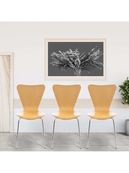 4 kpl Calisto vierailijatuolia, luonnonvärinen