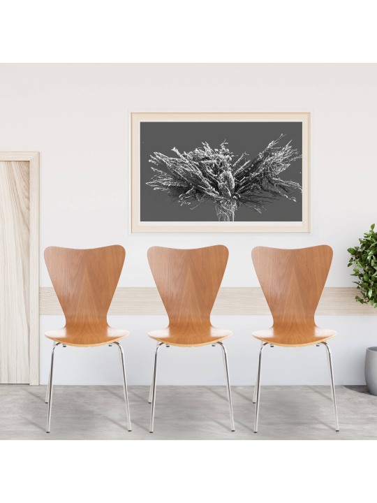 2 kpl Calisto vierailijatuolien setti, tammi