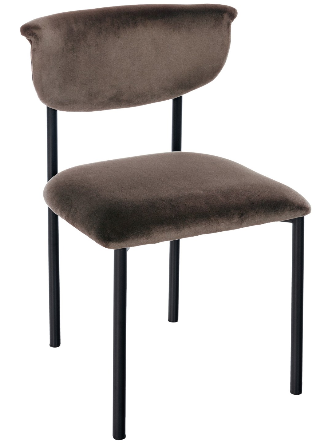 Gambell sametti vierailijatuoli, ruskea